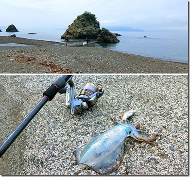 福井県敦賀と越前海岸でエギング釣行で爆釣 シーズン初期のアオリイカ攻略法 ライトルアーフィッシング入門