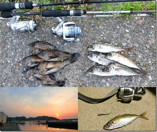 5月中旬に坊勢島アジング センチup入れ食い アジとメバルを釣り分けるコツも紹介 ライトルアーフィッシング入門