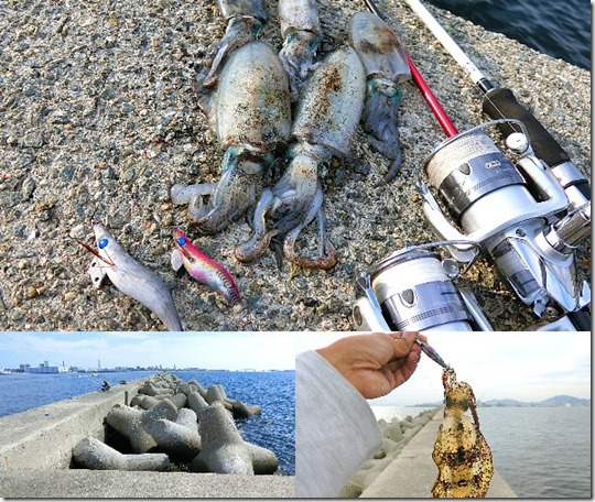 神戸にアオリイカの釣り場があった エギングでの釣り方と釣果を紹介 ライトルアーフィッシング入門