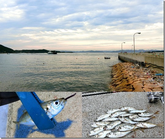 9月の坊勢島アジングで入れ食い ガルプとエコギアアクアどっちが釣れるか釣果比較も ライトルアーフィッシング入門
