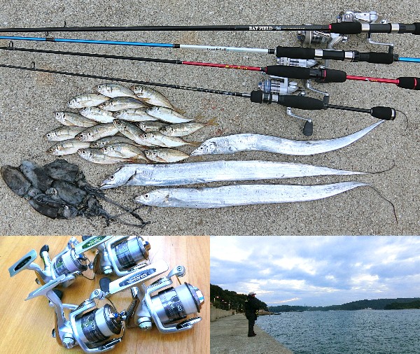 袋 欠伸 柔らかい 堤防 ルアー 釣れる 魚 I Marusho Jp