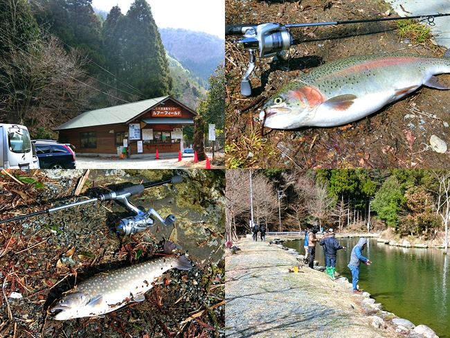 3月の低水温 濁りのある朽木渓流魚センターを攻略 釣果と釣り方を紹介 ライトルアーフィッシング入門