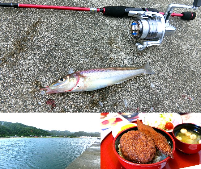 5月下旬福井ルアーのキス釣りで匹の釣果 五目釣りも達成 ライトルアーフィッシング入門