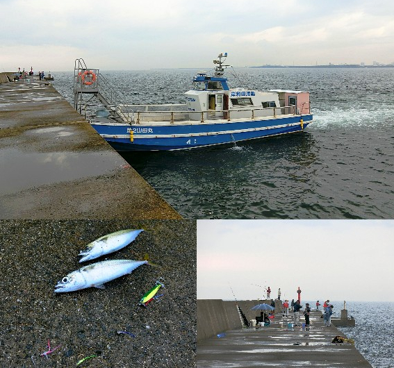 10月上旬岸和田一文字ショアジギング 当日の釣果 ヒットルアー 釣り方のコツをお伝えします ライトルアーフィッシング入門