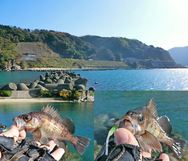 12月下旬の福井デイメバリングで好釣果 昼間にガルプが釣れない理由と釣れるワームを紹介 ライトルアーフィッシング入門