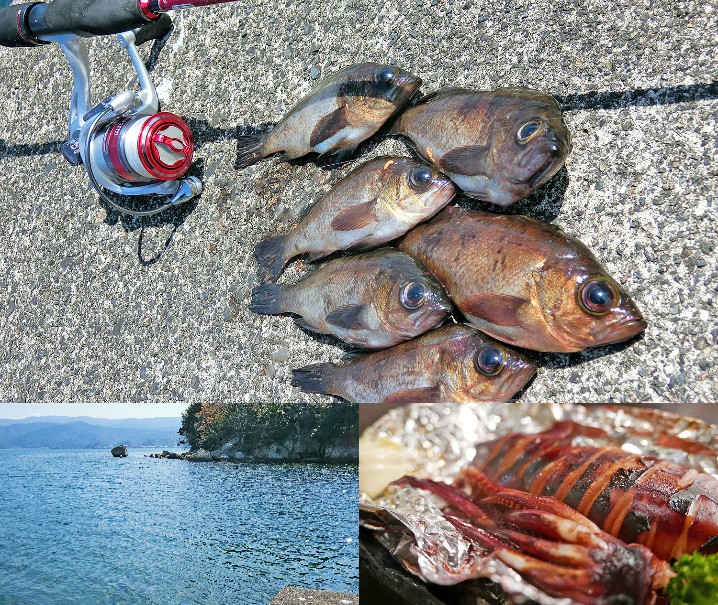 4月上旬福井敦賀デイメバリング釣行で好釣果|低水温時のポイントの選び方と釣り方を紹介