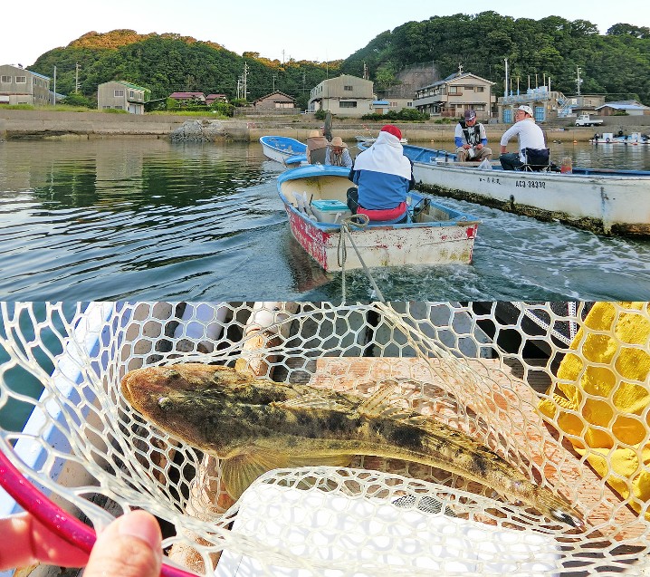 6月下旬愛知県知多半島でマゴチ・ヒラメを狙う|ヒットルアー・釣り方・釣果を紹介