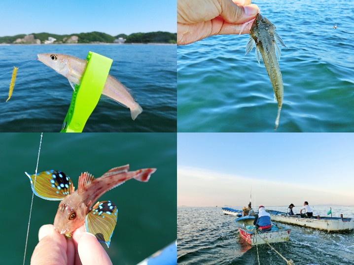 6月下旬愛知県知多半島でルアーのキス釣り好釣果！手軽に手堅く釣る為の方法を紹介