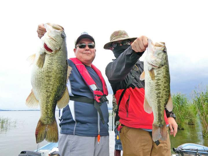 キャノピーさん＆釣れ釣れさんの7月上旬琵琶湖南湖北湖のブラックバス釣りの様子