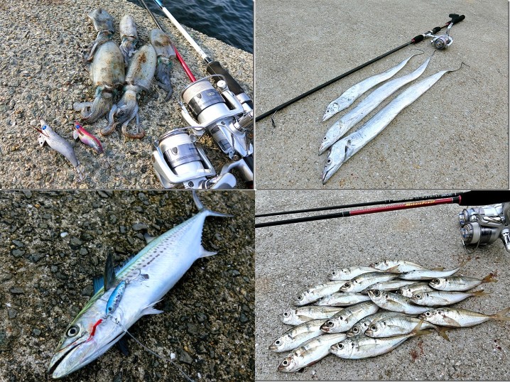 9月の初秋にライトルアーフィッシングで釣れる魚種とその釣り方
