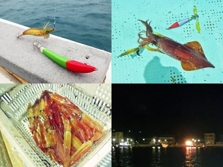 ８月中旬福井敦賀イカメタル|年1回釣行で竿頭に次ぐ61杯の釣果となった釣り方とコツとは