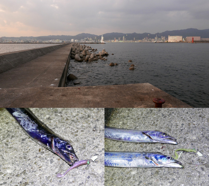2019年11月1日神戸和田防タチウオルアー釣行|大阪湾での混雑の避け方と2種類のワームの使い分けについて紹介