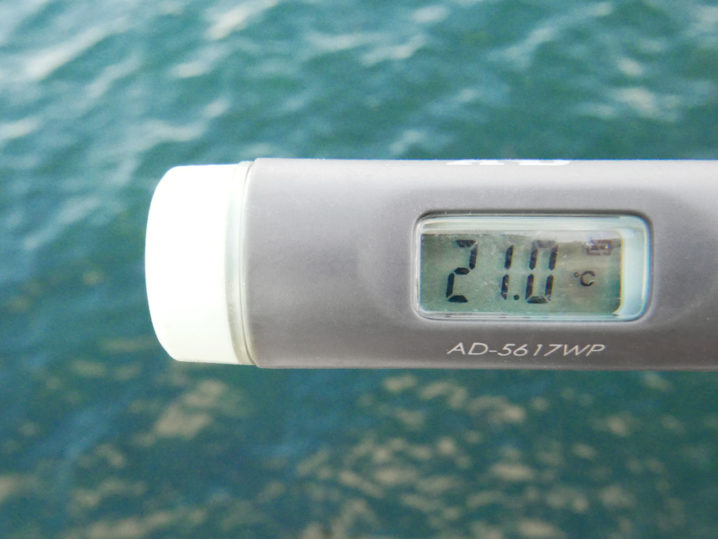 海水温は約21度