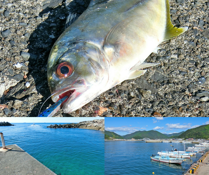 和歌山南紀メッキアジング釣行|ポイントの絞り方と7種類のルアーを使った結果を紹介