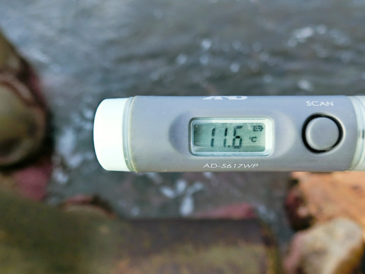 メバリング開始前に敦賀湾各所の海水温を測定2