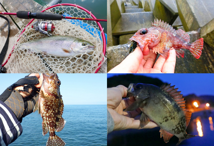 3月の初春にライトルアーフィッシングで釣れる魚種とその釣り方