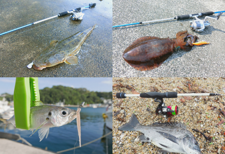 6月の梅雨にライトルアーフィッシングで釣れる魚種とその釣り方
