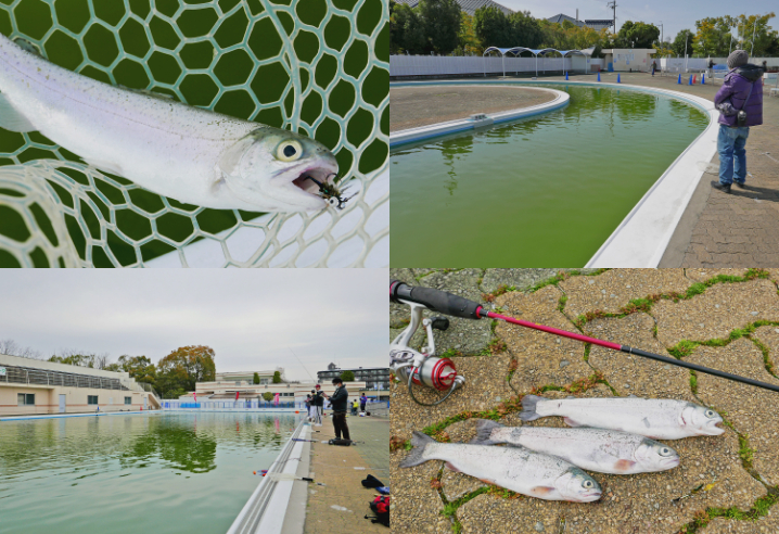 大阪の管理釣り場|岸和田フィッシングパークで一人爆釣となったヒットパターンとルアーを紹介