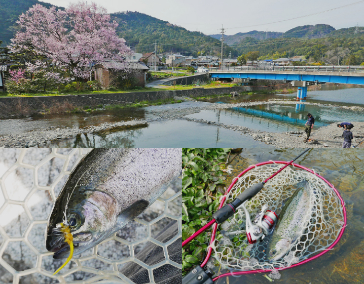 初心者必見！大阪にある管理釣り場【芥川マス釣り場】を完全攻略|釣り方・ルアー・使い方を紹介