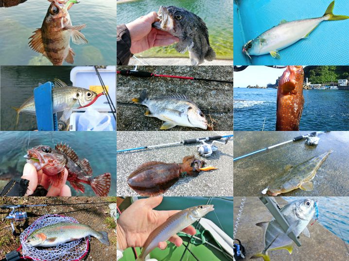 ライトルアーフィッシングで釣れる魚を紹介|初心者向け入門記事一覧