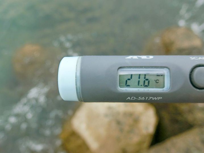 海水温は約21.6度