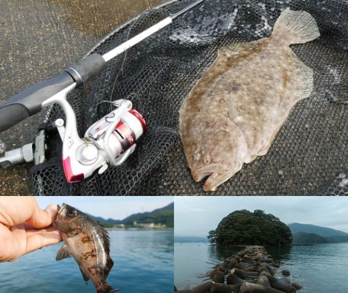 7月中旬福井県の沖防波堤でライトルアー五目釣り|メバリングタックルでテンジクガレイも！