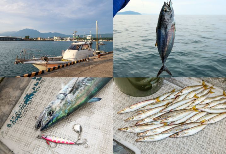10月上旬福井オフショアジギング|初心者でもすぐ実践可能な釣れるコツとナブラ・お土産対策を紹介