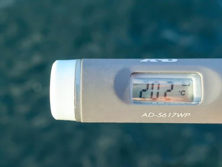 海水温は約20.2度