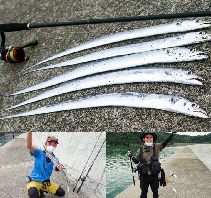 大阪湾のタチウオ釣りが絶不調の中でワインド・ワームの引き釣りで爆釣！釣り場・釣り方を紹介