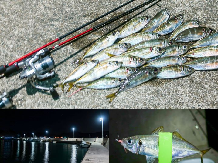 11月下旬坊勢島アジング爆釣|ポイントの見切り方と好釣果となった釣り方とは