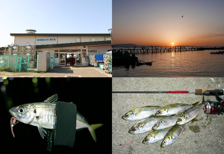 4月中旬小島養漁場でアジング|低水温・低活性のヒットパターンとルアーを紹介