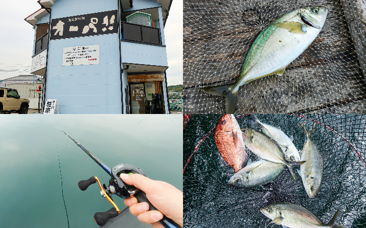 大阪の海上釣り堀オーパ！！で好釣果|シマアジのアタリがあった時のアワセ方