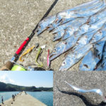 9月下旬和歌山湯浅一文字でタチウオ爆釣！真昼間でも釣れる釣り場とヒットルアーを紹介