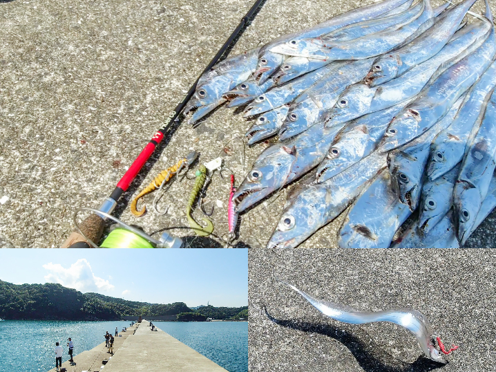 9月下旬和歌山湯浅一文字でタチウオ爆釣！真昼間でも釣れる釣り場とヒットルアーを紹介