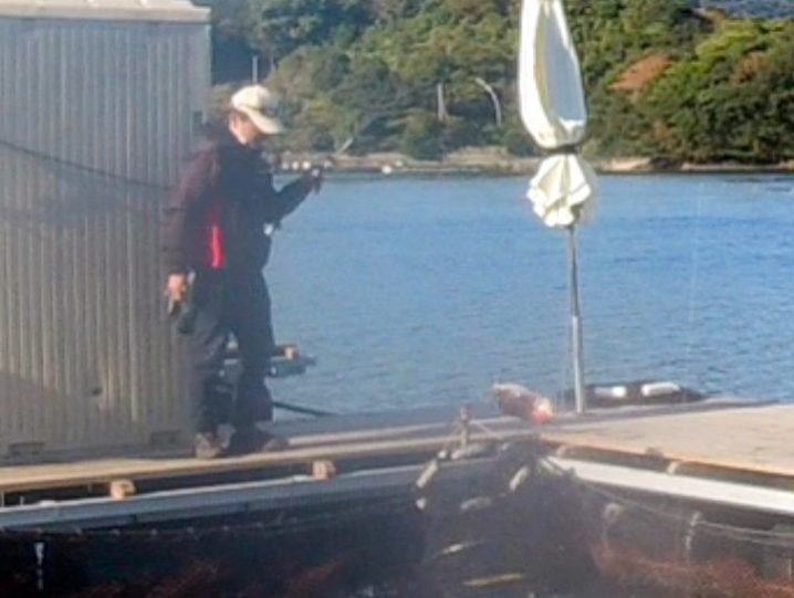 清丸さんがラン＆ガンで次々真鯛を釣り上げる！