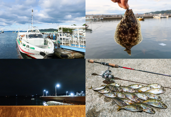10月下旬坊勢島アジング釣行|アシストフックの効果を実際に釣って検証しました