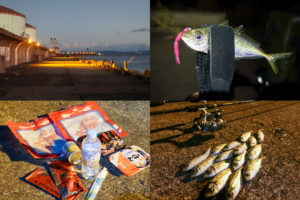 11月下旬本荘ケーソンでアジング釣行|爆釣！となった理由と釣り方を紹介