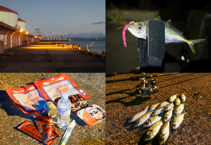 11月下旬本荘ケーソンでアジング釣行|爆釣！となった理由と釣り方を紹介