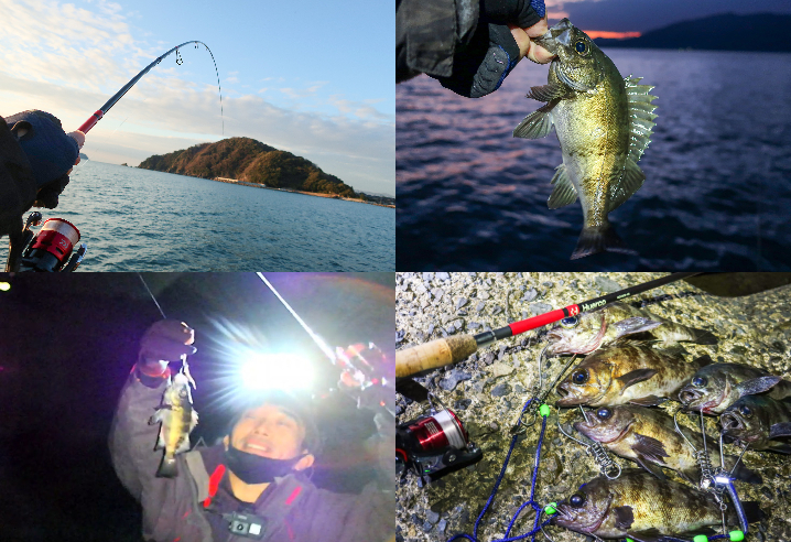【釣行動画】12月下旬福井敦賀でメバリング釣り日記