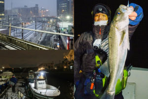 1月大雪の東京湾でボートシーバス|実釣で分かったフェザージグで釣る為の3つのコツを紹介