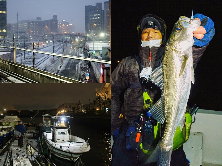 1月大雪の東京湾でボートシーバス 実釣で分かったフェザージグで釣る為の3つのコツを紹介 ライトルアーフィッシング入門