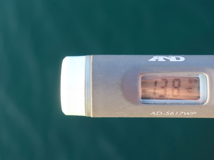 海水温は約13.8度