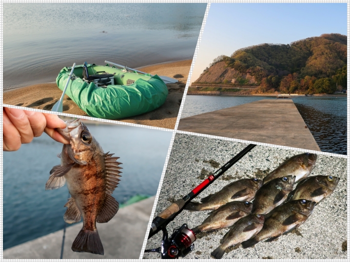 4月上旬福井メバリングで良型メバル好釣果|ドピーカン時により釣れる３つのコツを紹介