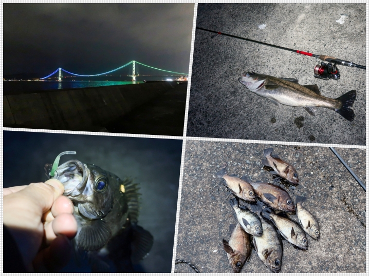 5月上旬神戸メバリングの聖地【垂水一文字】で好釣果！実釣して分かった激流釣り場の攻略法を紹介