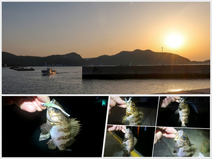 4月下旬の坊勢島メバリング｜【日没・干潮】と【深夜・満潮】どちら釣れるのか？を実釣で検証しました