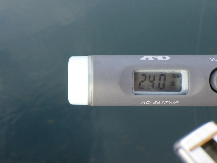 海水温は約24.0度