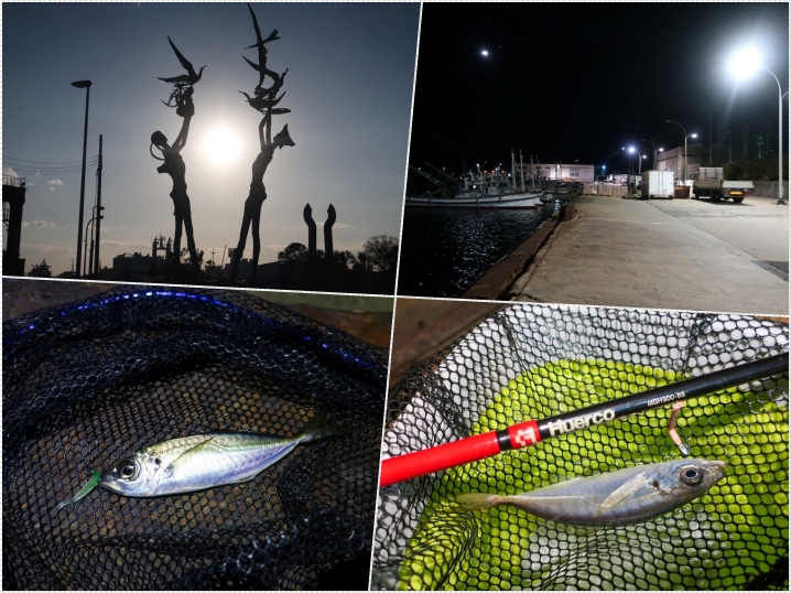 12月下旬の坊勢島アジングで好釣果|釣り方・ヒットパターンの紹介といつまで釣れ続くのか？を紹介