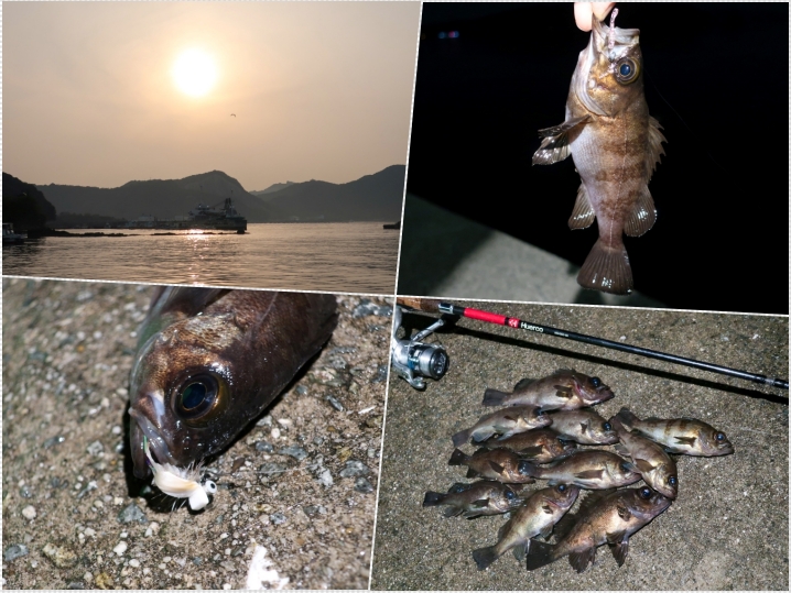 早春の坊勢島メバリング|低水温・低活性を攻略！好釣果となった釣り方・ヒットルアーを紹介