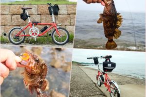 【自転車釣行】6月下旬淡路島|根魚釣りで好釣果！当日のヒットパターンと「釣り×自転車」に必要な物を紹介
