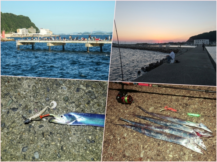 9月中旬豊浜漁港のタチウオ祭りにルアー釣りで参加！混雑する釣り場でのポイントの選び方